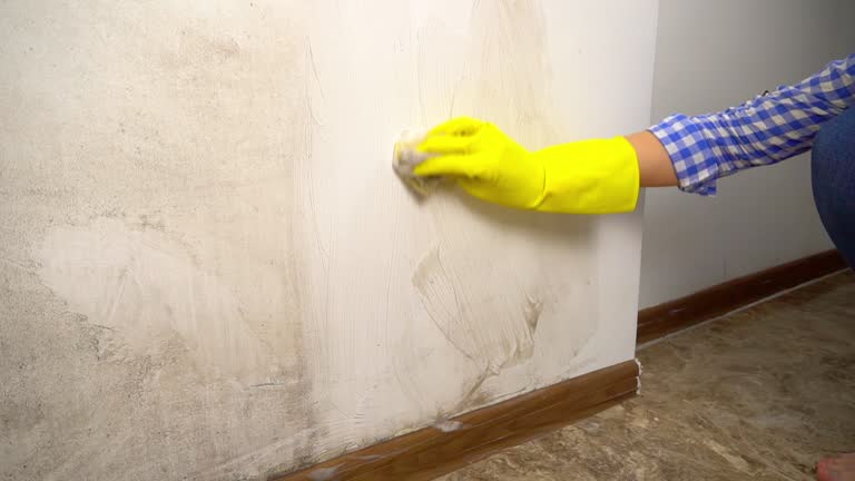 Mold Remediation for Rental Properties in Northfield, KY